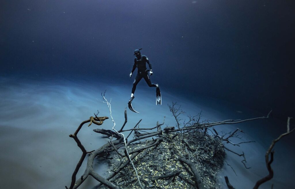 Freediver exploring cenote Angelita above a submerged tree and dense hydrogen sulfide cloud.